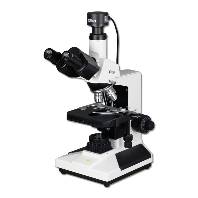 L200A 生物电子游戏