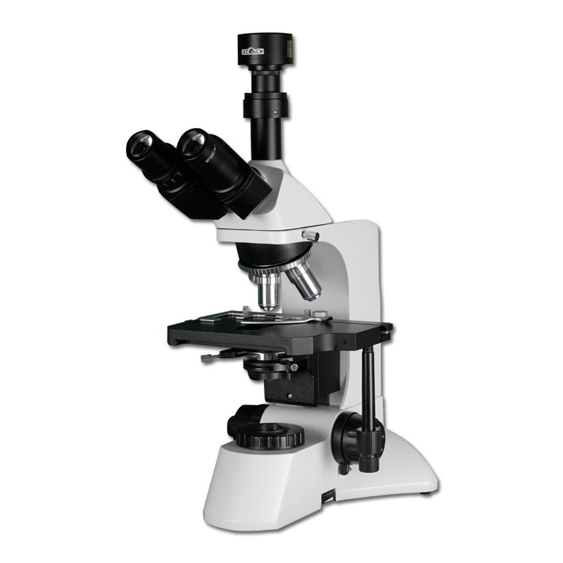 L320 生物电子游戏