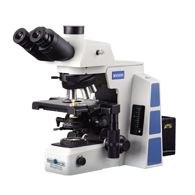MX5000 生物电子游戏