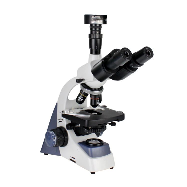 XSP500型系列生物电子游戏